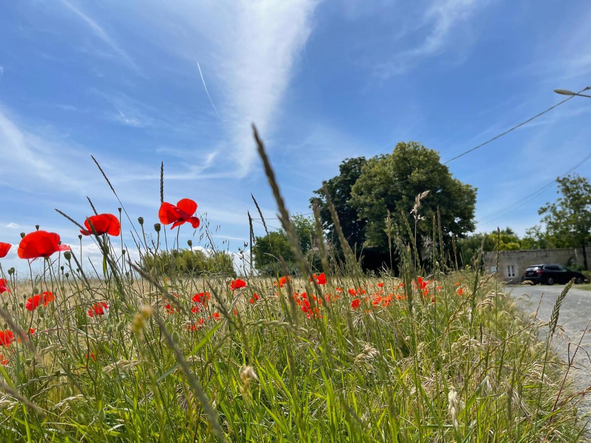 Logis Saint Leonard Bed & Breakfast Dompierre-sur-Mer ภายนอก รูปภาพ